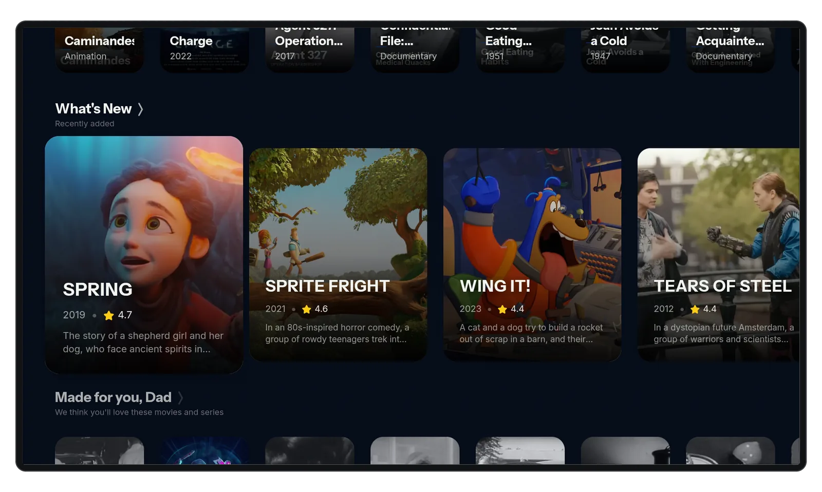 A ZPlayCine row of movies with poster, year, rating and synopsis for each title